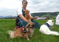 Ich bin zertifizierte Tierheilpraktikerin mit mobiler Tierheilpraxis in Schwäbisch Hall